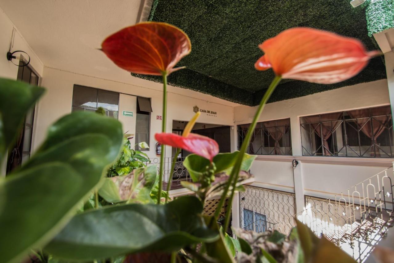 Casa De Juan Hostal 할라파 외부 사진